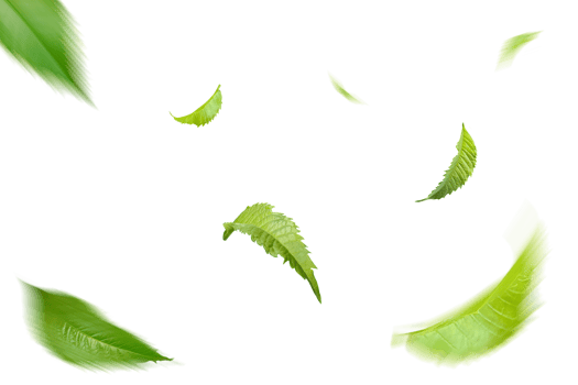 Green Floating Leaves Flying Leaves Green Leaf Dancing, Air Purifier Atmosphere Simple Main Picture png