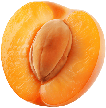 A half cut Apricot isolated on a transparent background png