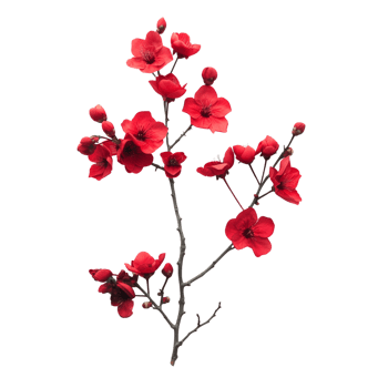 A single branch of vibrant red flowers center isolated on a transparent background png