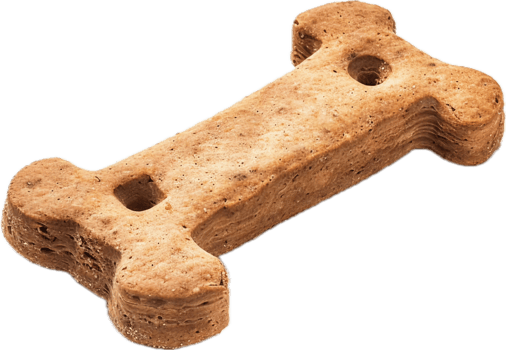 Bone-Shaped Dog Biscuit Treat. png