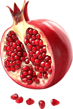 A Healthy half cut Pomegranate isolated on a transparent background png
