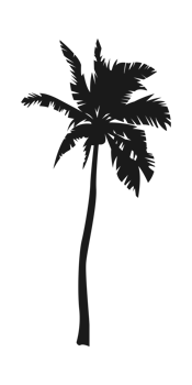 Silhouette of palm tree, coconut tree. Nature, environment concept illustration. png