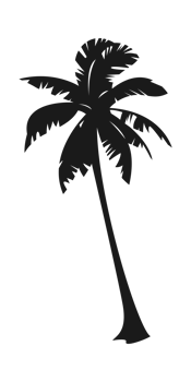 Silhouette of palm tree, coconut tree. Nature, environment concept illustration. png