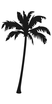 Silhouette of palm tree, coconut tree. Nature, environment concept illustration. png