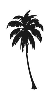 Silhouette of palm tree, coconut tree. Nature, environment concept illustration. png
