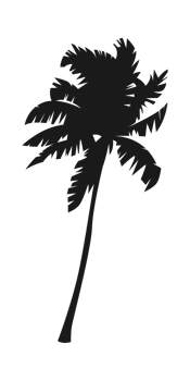 Silhouette of palm tree, coconut tree. Nature, environment concept illustration. png