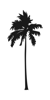 Silhouette of palm tree, coconut tree. Nature, environment concept illustration. png