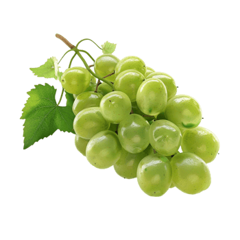 Grapes on a Branch with Leaves on Transparent Background AI-Generative png