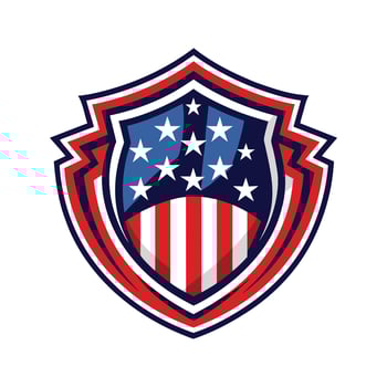US flag with shield vector