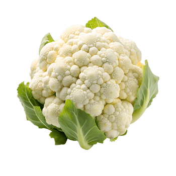 cauliflower isolated on a translucent background. png