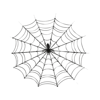 Spider Hanging Web on Transparent Background png