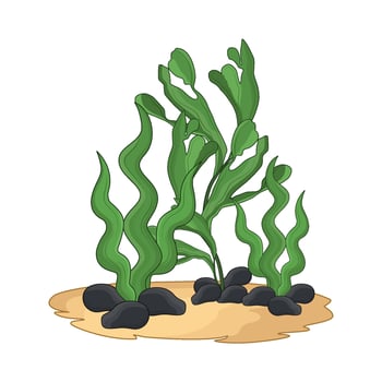illustration of seaweed vector