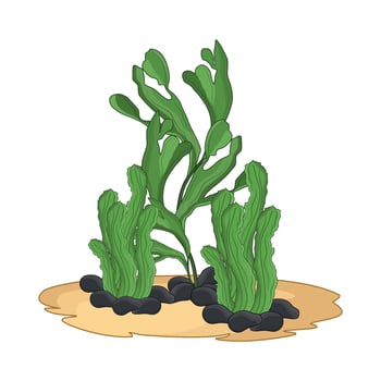 illustration of seaweed vector