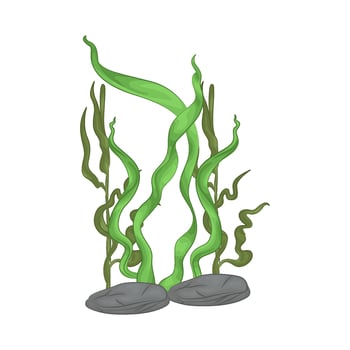 Illustration of seaweed vector