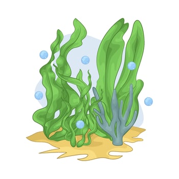 Illustration of seaweed vector