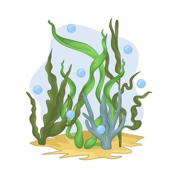 Illustration of seaweed vector