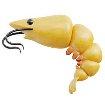 Shrimp 3d illustration png
