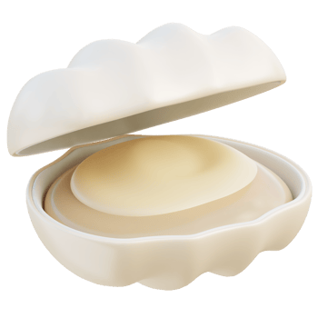 Shell 3d illustration png