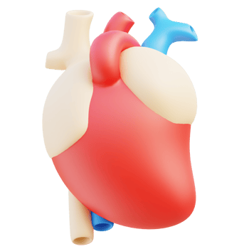 Heart 3d illustration png