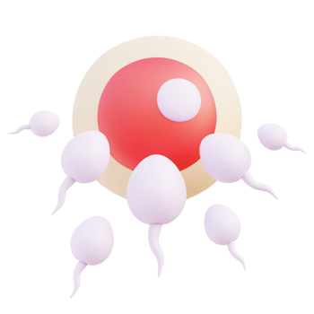 Fertilization 3d illustration png