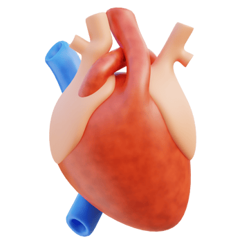 Heart 3d illustration png