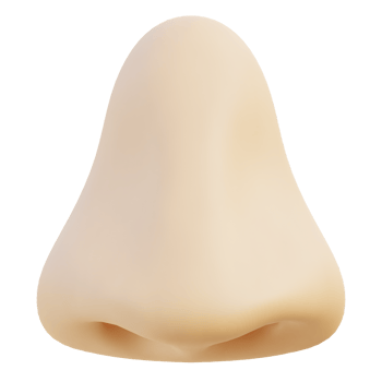 Nose 3d illustration png