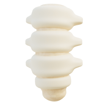 Spine 3d illustration png