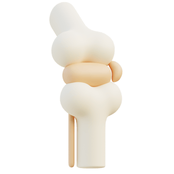 Knee Joint 3d illustration png