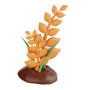 wheat tree 3d illustration png