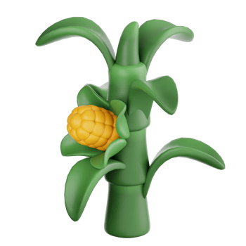 Corn Stalk 3d illustration png
