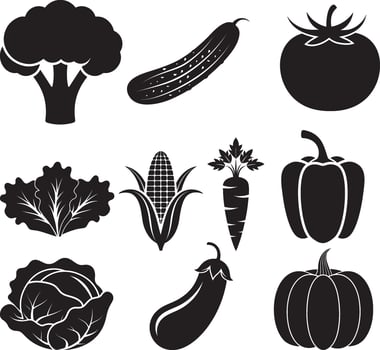 set of vegetables isolated on white vector