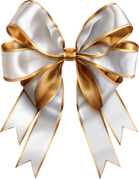 a pretty ribbon png