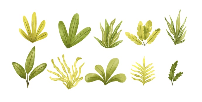 hand drawn watercolor nature elements. Isolated landscape vector