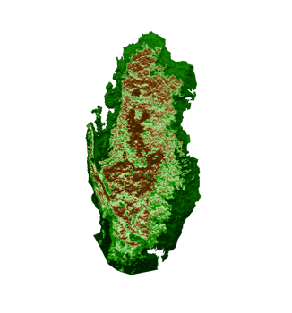 Qatar Topographic Map 3d realistic map Color 3d illustration png