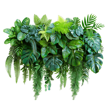 Tropical Plant Bush Isolated png