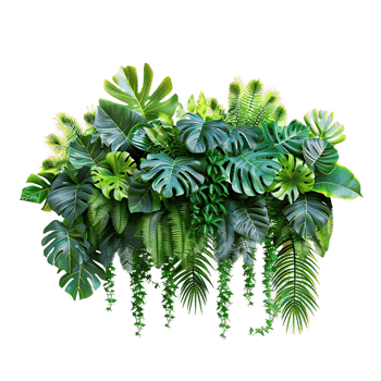 Hanging Tropical Plant Bush png