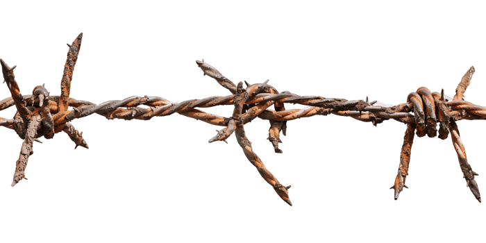 Barbed Wires Border on transparent Background png