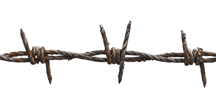 Isolated Barbed Wire Cutout png