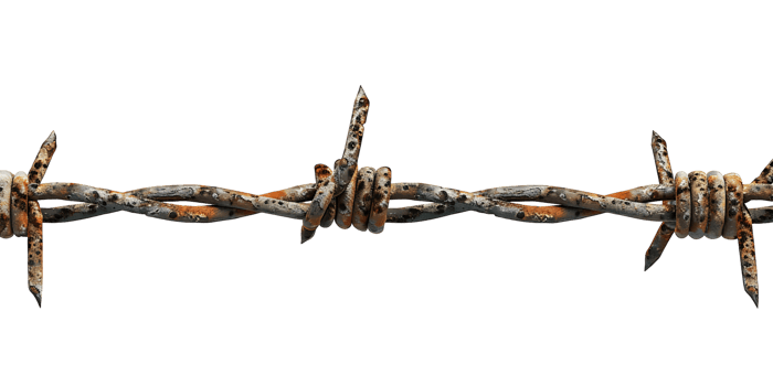 Barbed Wire Border Isolated on transparent png