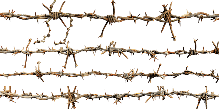 Barbed Wire Border Cutout png
