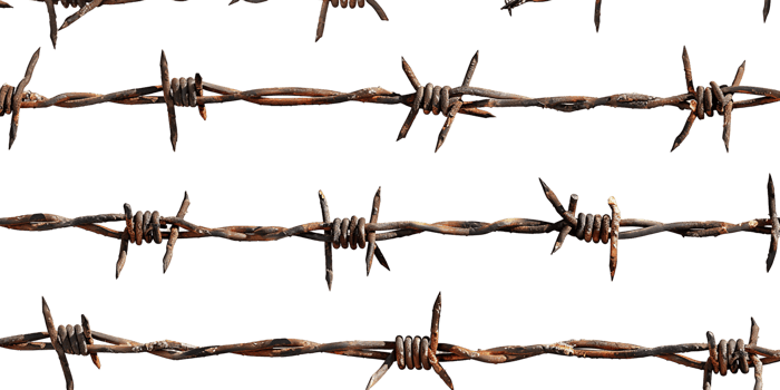 Barbed Wire on transparent Background png