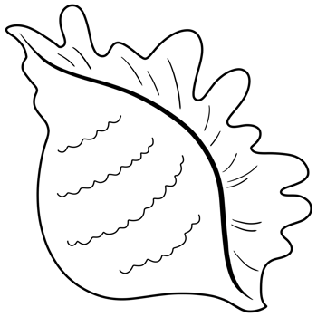 Sea animals Coloring and doodle png