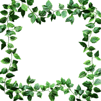 Green Ivy Leaves Frame on Transparent Background AI-Generative png