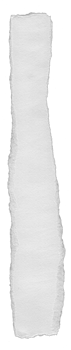 Ripped Transparent Paper Texture png