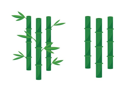 isolated bamboo on white background vector