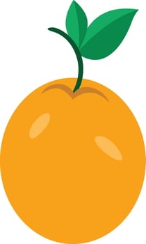 Orange passion fruit with green leaves vector
