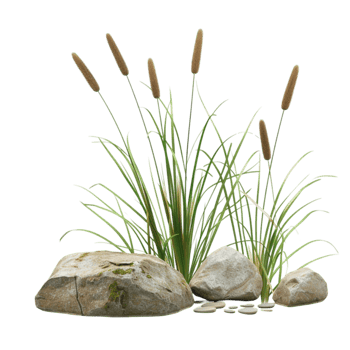 grass and rocks image png