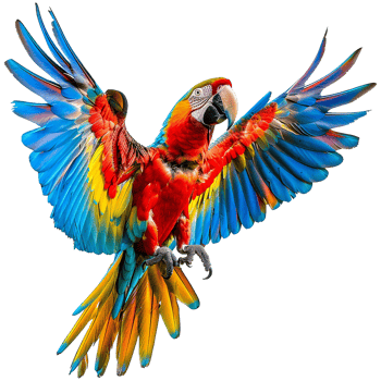 Flying Macaw parrot isolated on transparent background png