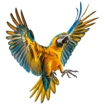 Flying Macaw parrot isolated on transparent background png