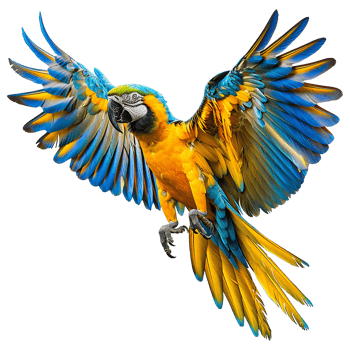 Flying Macaw parrot isolated on transparent background png